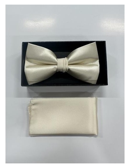 Coffret noeud papillon & pochette - beige - Accueil