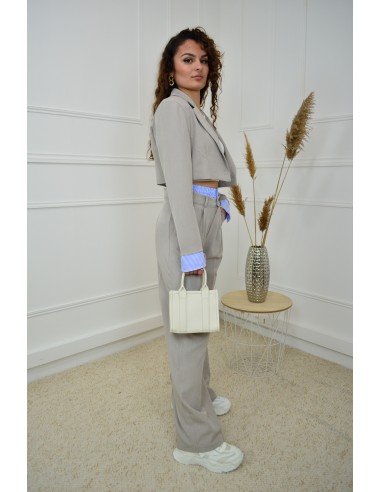 Ensemble 2 pièces gris clair : blazer...