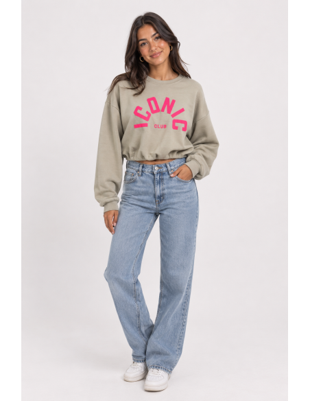 Sweat Iconic Club Taupe Femme | Zerda